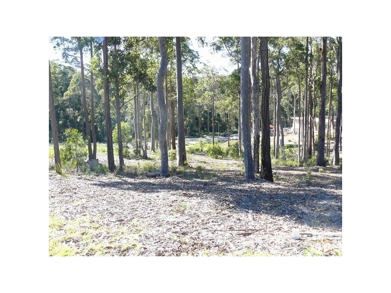 Lot 50 Carramar Drive, Lilli Pilli NSW 2536