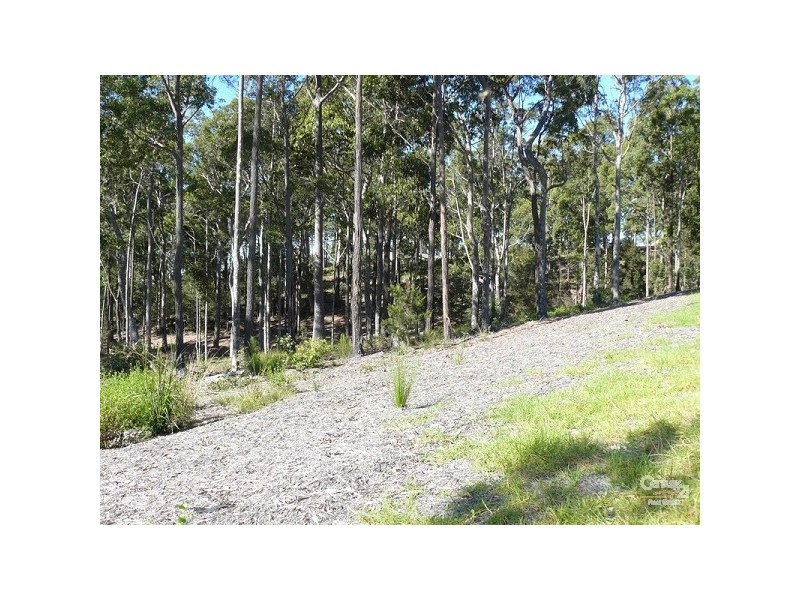 Lot 50 Carramar Drive, Lilli Pilli NSW 2536