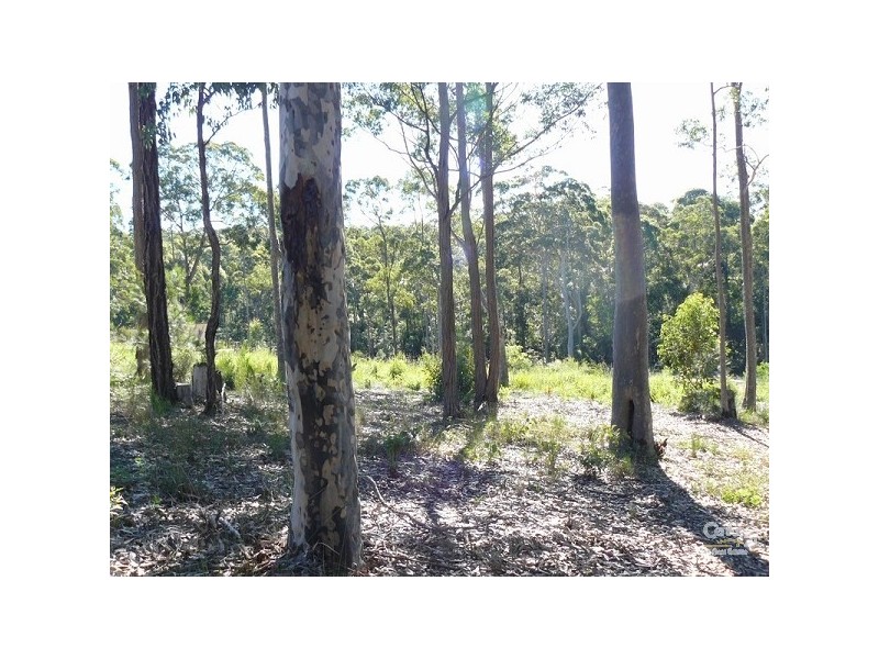 Lot 50 Carramar Drive, Lilli Pilli NSW 2536