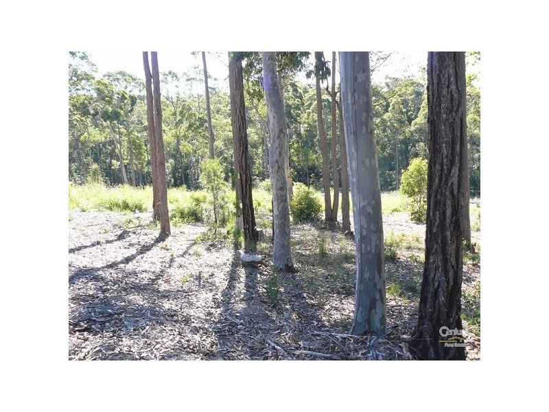 Lot 50 Carramar Drive, Lilli Pilli NSW 2536