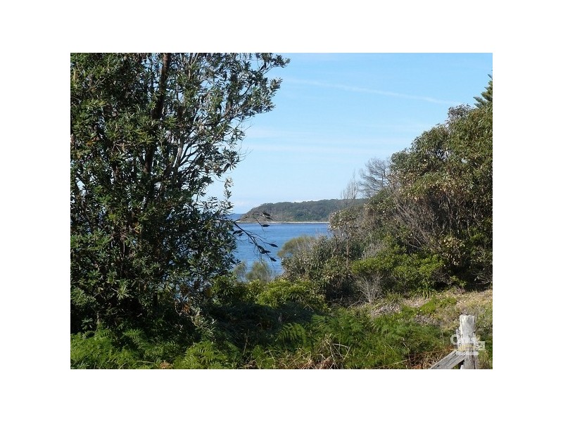 147 Annetts Parade, Mossy Point NSW 2537