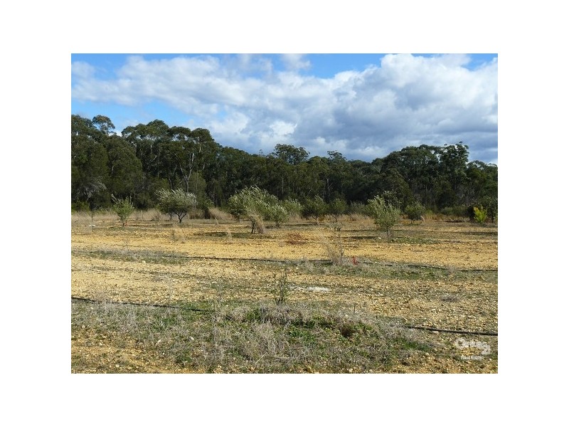 54 Jeremadra Grove, Jeremadra NSW 2536