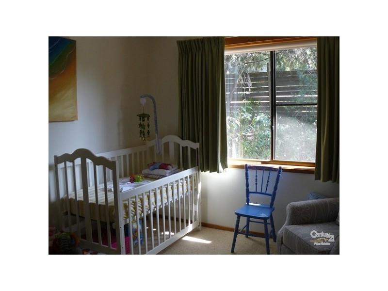 15 Elouera Close, Lilli Pilli NSW 2536