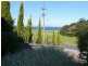 573 George Bass Dr, Malua Bay NSW 2536
