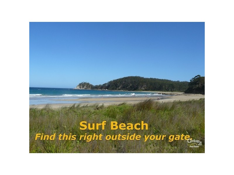 Surf Beach NSW 2536
