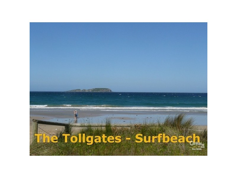 Surf Beach NSW 2536
