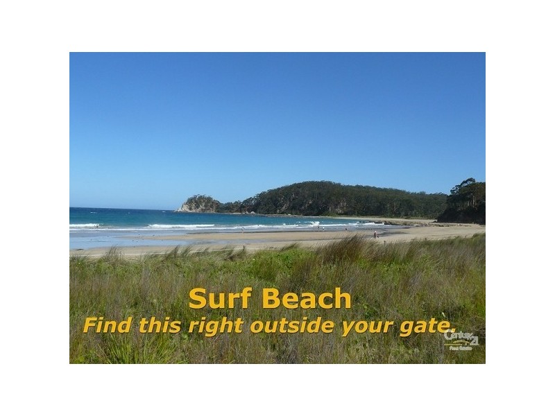 Surf Beach NSW 2536