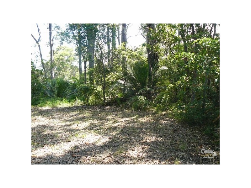 53 Fairview Drive, Lilli Pilli NSW 2536