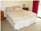 17 Newth Pl, Surf Beach NSW 2536