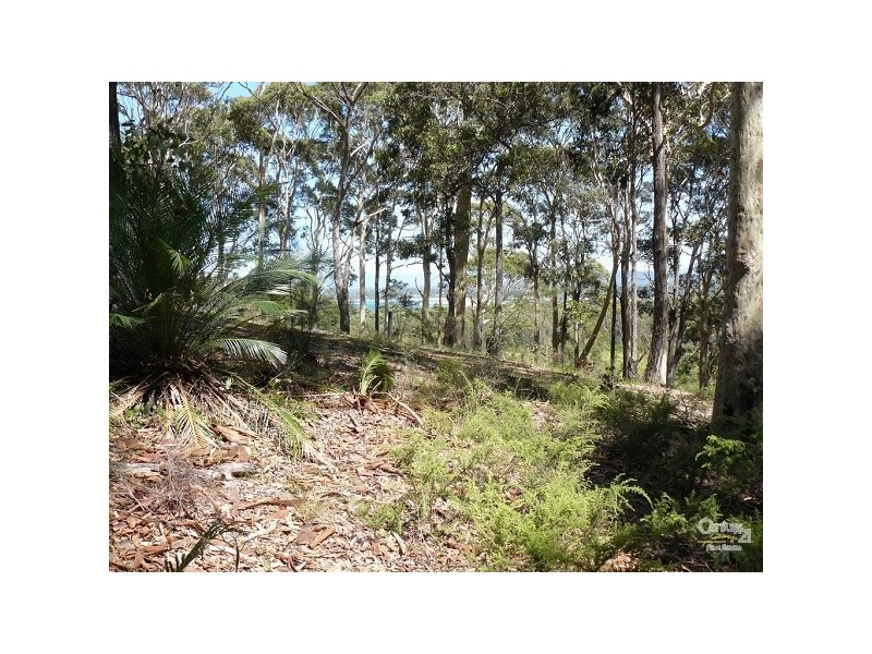21 Roseby Drive, Rosedale NSW 2536
