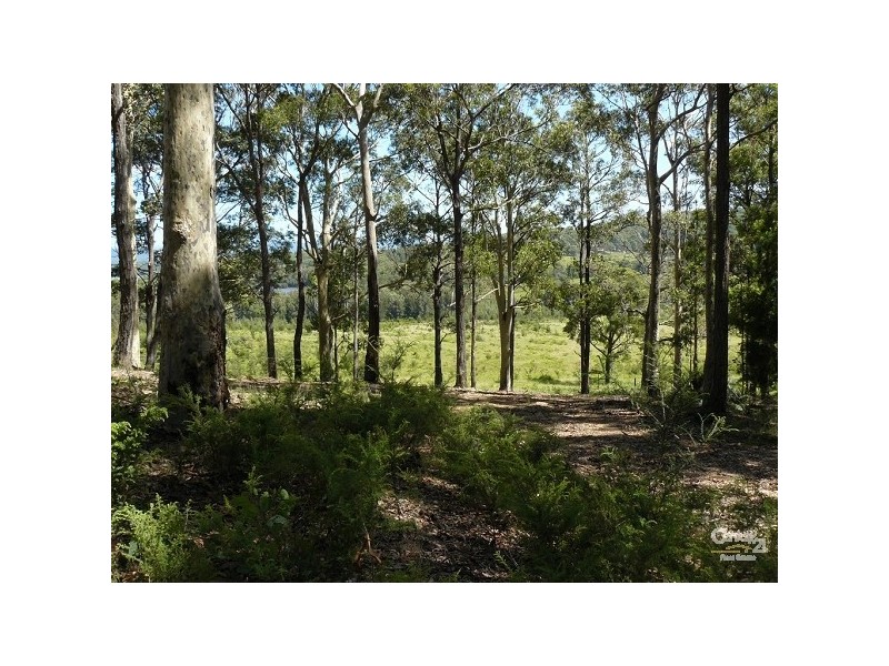 21 Roseby Drive, Rosedale NSW 2536