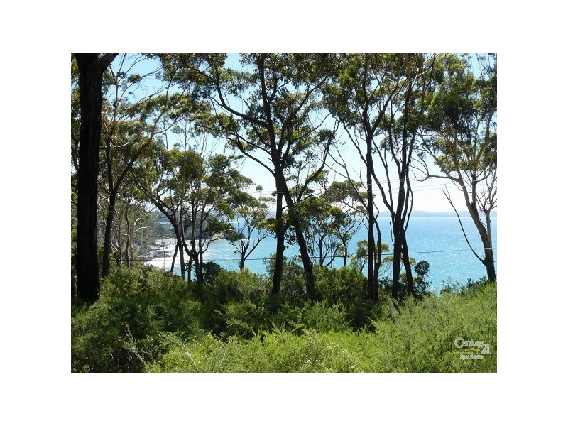 19 Denise Drive, Lilli Pilli NSW 2536