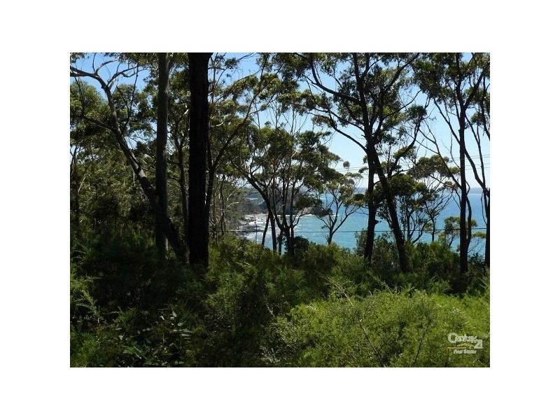 19 Denise Drive, Lilli Pilli NSW 2536