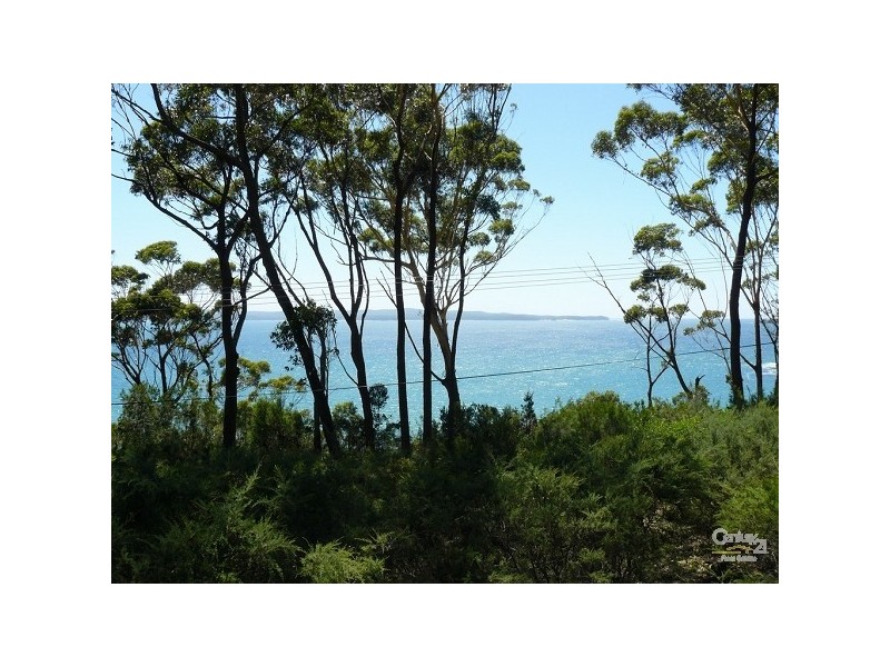 19 Denise Drive, Lilli Pilli NSW 2536