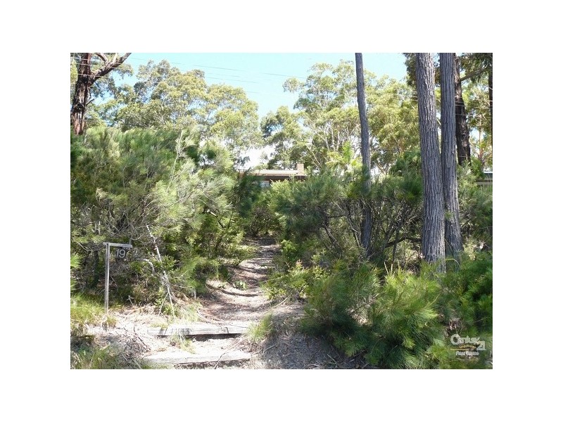 19 Denise Drive, Lilli Pilli NSW 2536