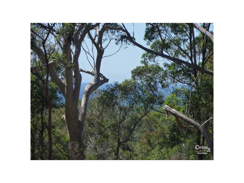 Lot 2 Phyllis Price Drive, Moruya NSW 2537