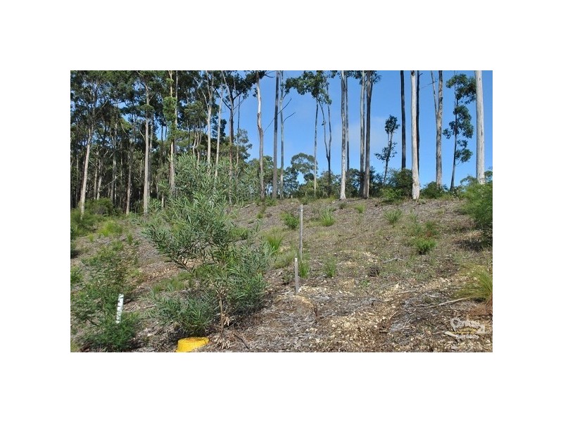13 Elandra Place, Malua Bay NSW 2536