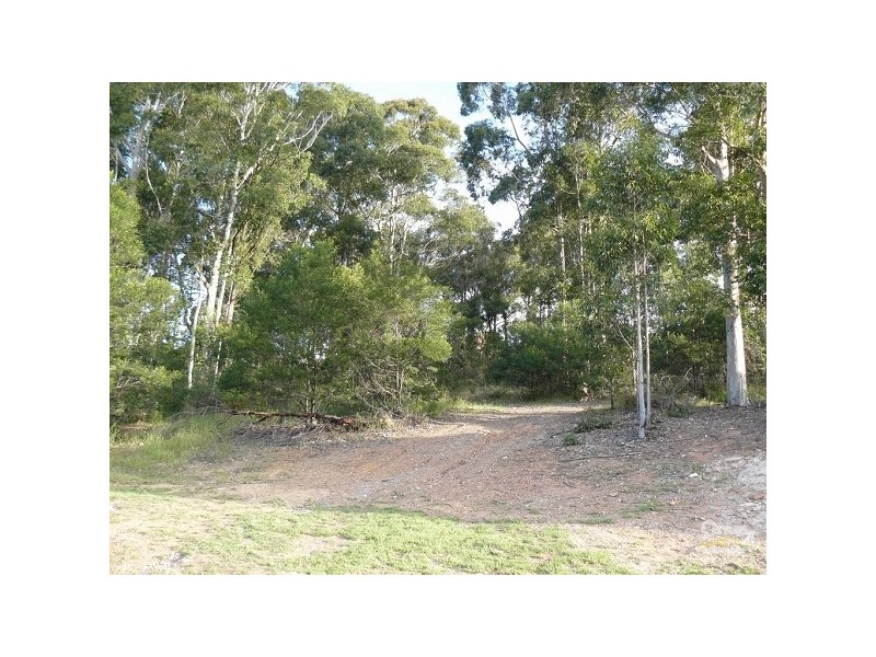 14 Protea Place, Catalina NSW 2536