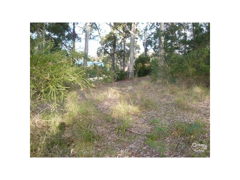 14 Protea Place, Catalina NSW 2536