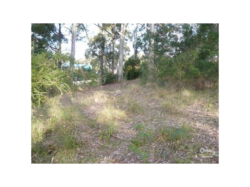 14 Protea Place, Catalina NSW 2536