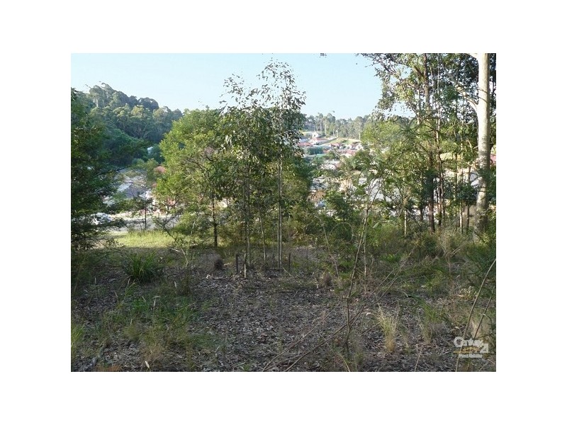 14 Protea Place, Catalina NSW 2536