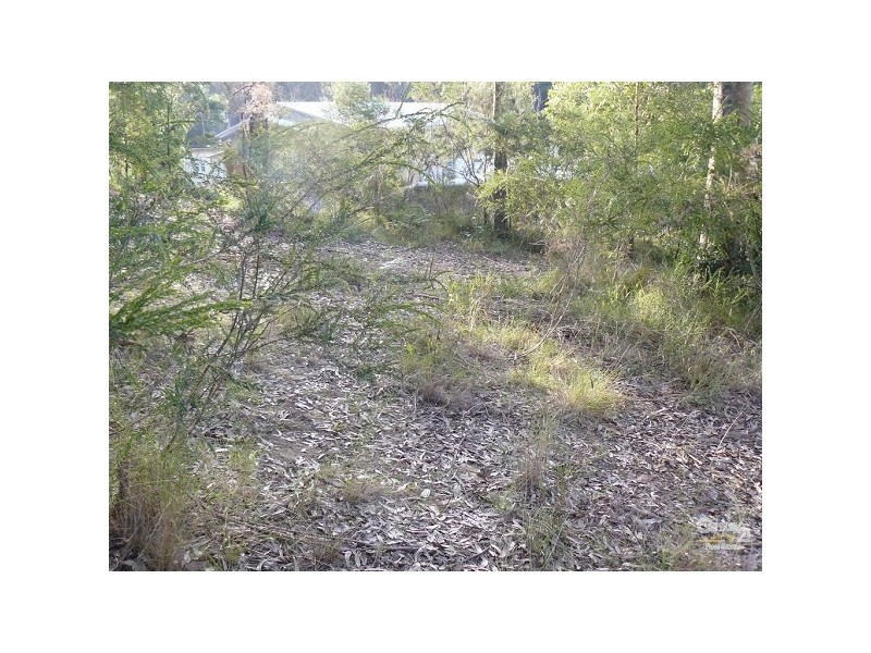 14 Protea Place, Catalina NSW 2536