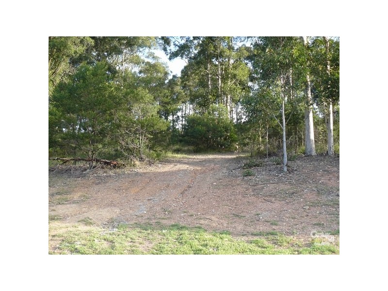 14 Protea Place, Catalina NSW 2536