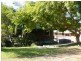 33 Calga Crescent, Catalina NSW 2536