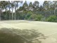 1 Lilli Pilli Road, Lilli Pilli NSW 2536