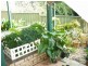 11 Binda Street, Malua Bay NSW 2536