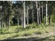 29 Carramar Drive, Lilli Pilli NSW 2536