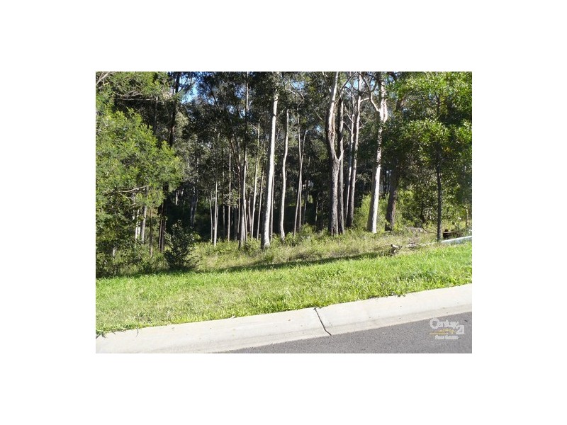 29 Carramar Drive, Lilli Pilli NSW 2536