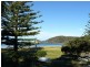 Surf Beach NSW 2536