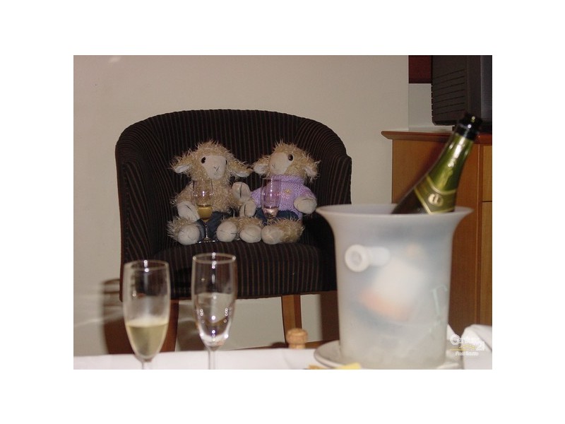 14 Lilli Pilli Road, Lilli Pilli NSW 2536