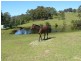 31 McBride Close, Malua Bay NSW 2536