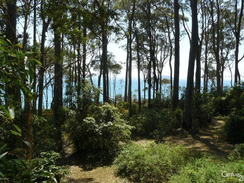 Lilli Pilli NSW 2536