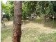 43 Old Princes Highway, Batemans Bay NSW 2536