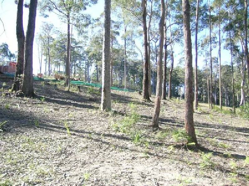 29 CARRAMAR DRIVE, Lilli Pilli NSW 2536