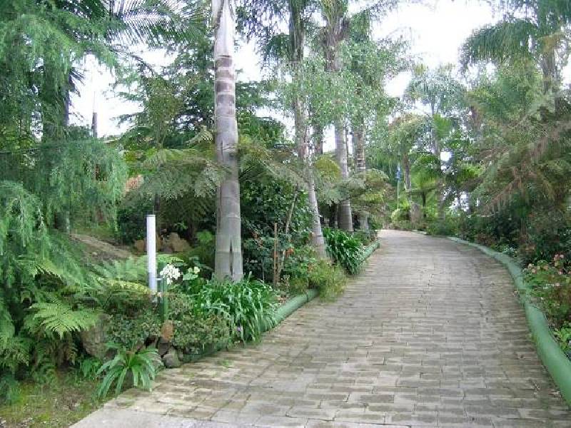 62 GRANDFATHERS GULLY ROAD, Lilli Pilli NSW 2536