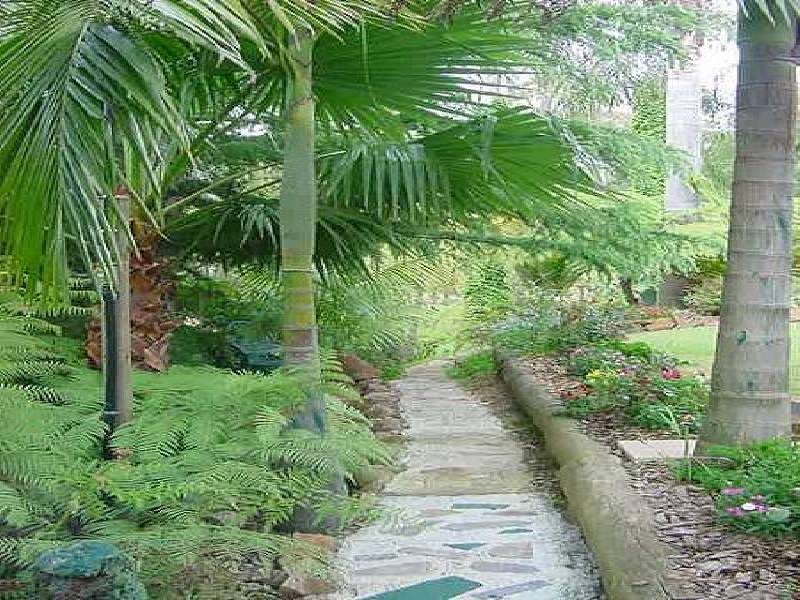 62 GRANDFATHERS GULLY ROAD, Lilli Pilli NSW 2536