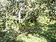Malua Bay NSW 2536