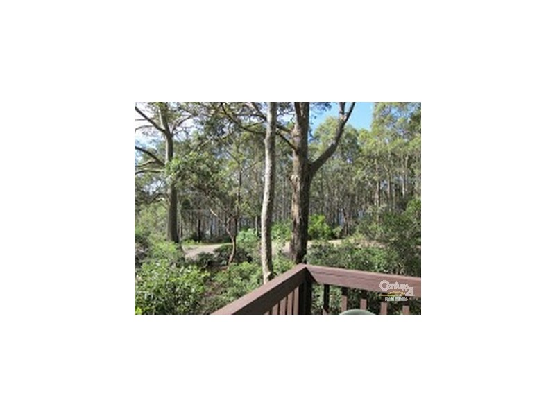 53 Fairview Drive, Lilli Pilli NSW 2536