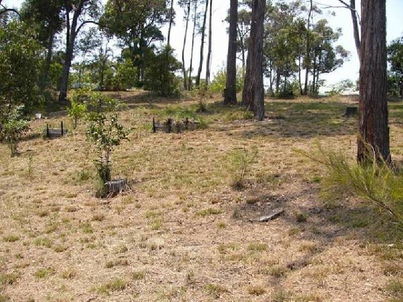 16 Tallwood Crescent, Rosedale NSW 2536