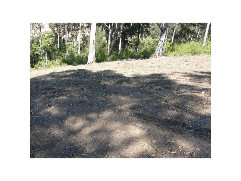 18 Bunderra Circuit, Lilli Pilli NSW 2536