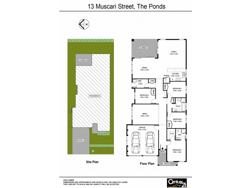 13 Muscari St, The Ponds NSW 2769 Floorplan