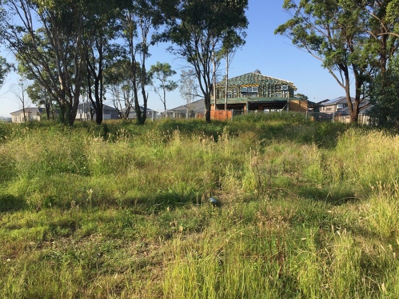 55 Arnold Avenue, Kellyville NSW 2155