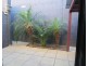 36 Benson Road, Beaumont Hills NSW 2155