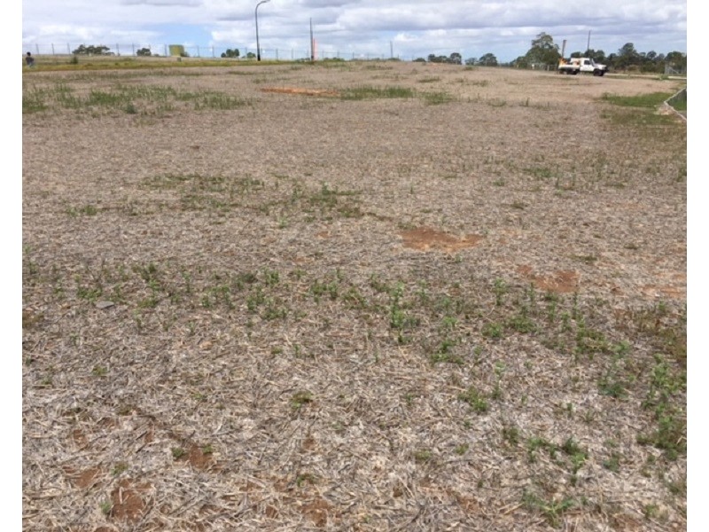 Lot 1033 Luminous Way (off 186 Old Pitt Town Rd), Box Hill NSW 2765