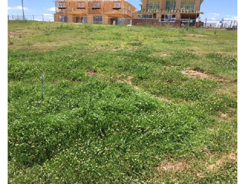 10 Lindeman Close, Kellyville NSW 2155