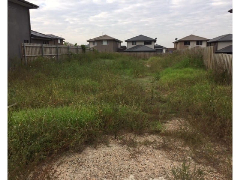 51 Lumsden Avenue, Kellyville NSW 2155